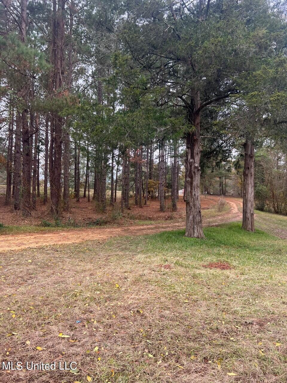 252 White Oak Drive Raleigh, MS 39153 - Photo 16 of 19 22