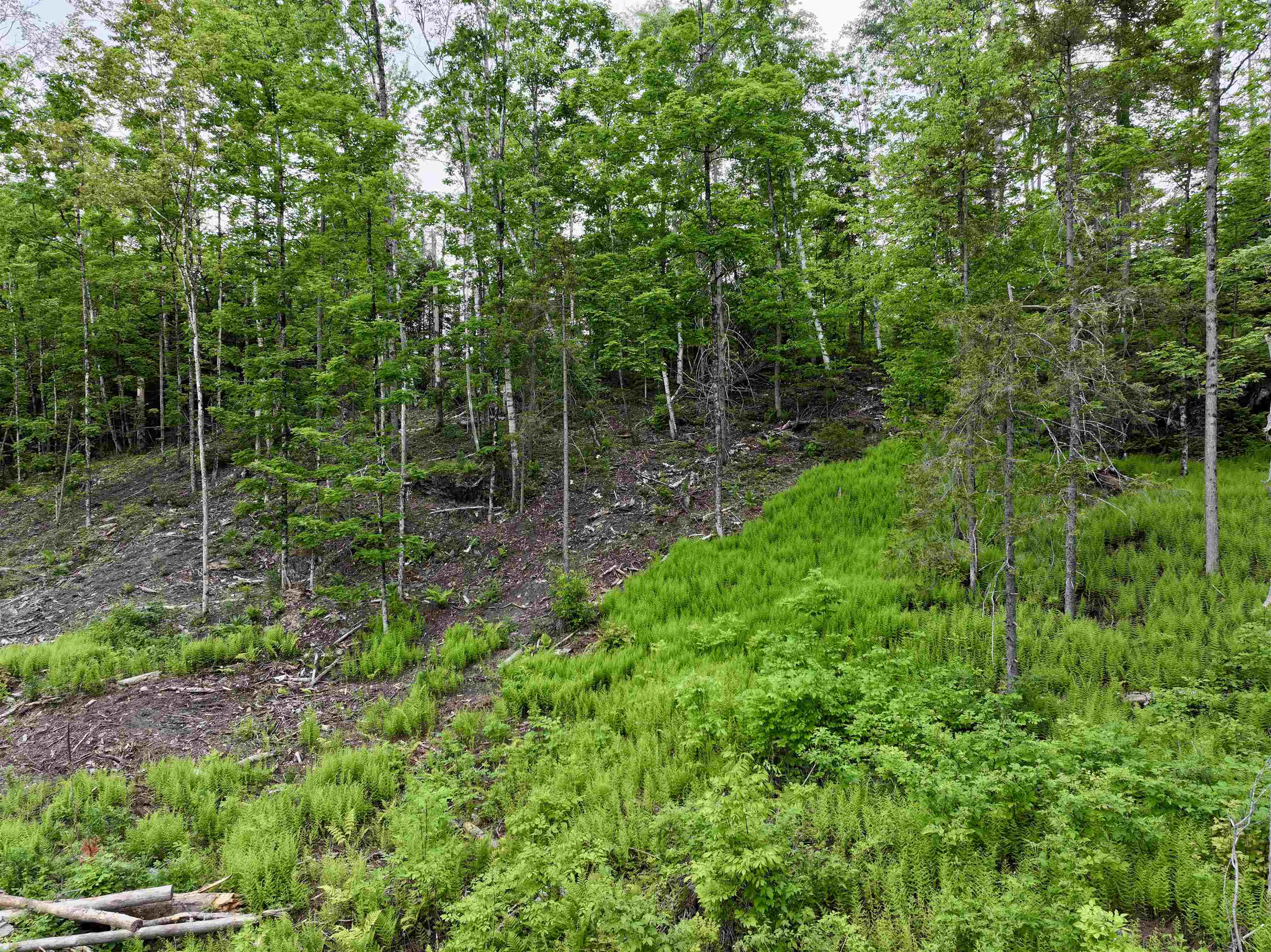 Lot 2 Lightening Ridge Road Plainfield, VT 05667 - Photo 5 of 29