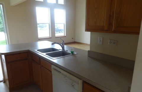 494 Le Moyne Avenue Romeoville, IL 60446 - Photo 4 of 11