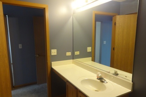 494 Le Moyne Avenue Romeoville, IL 60446 - Photo 10 of 11