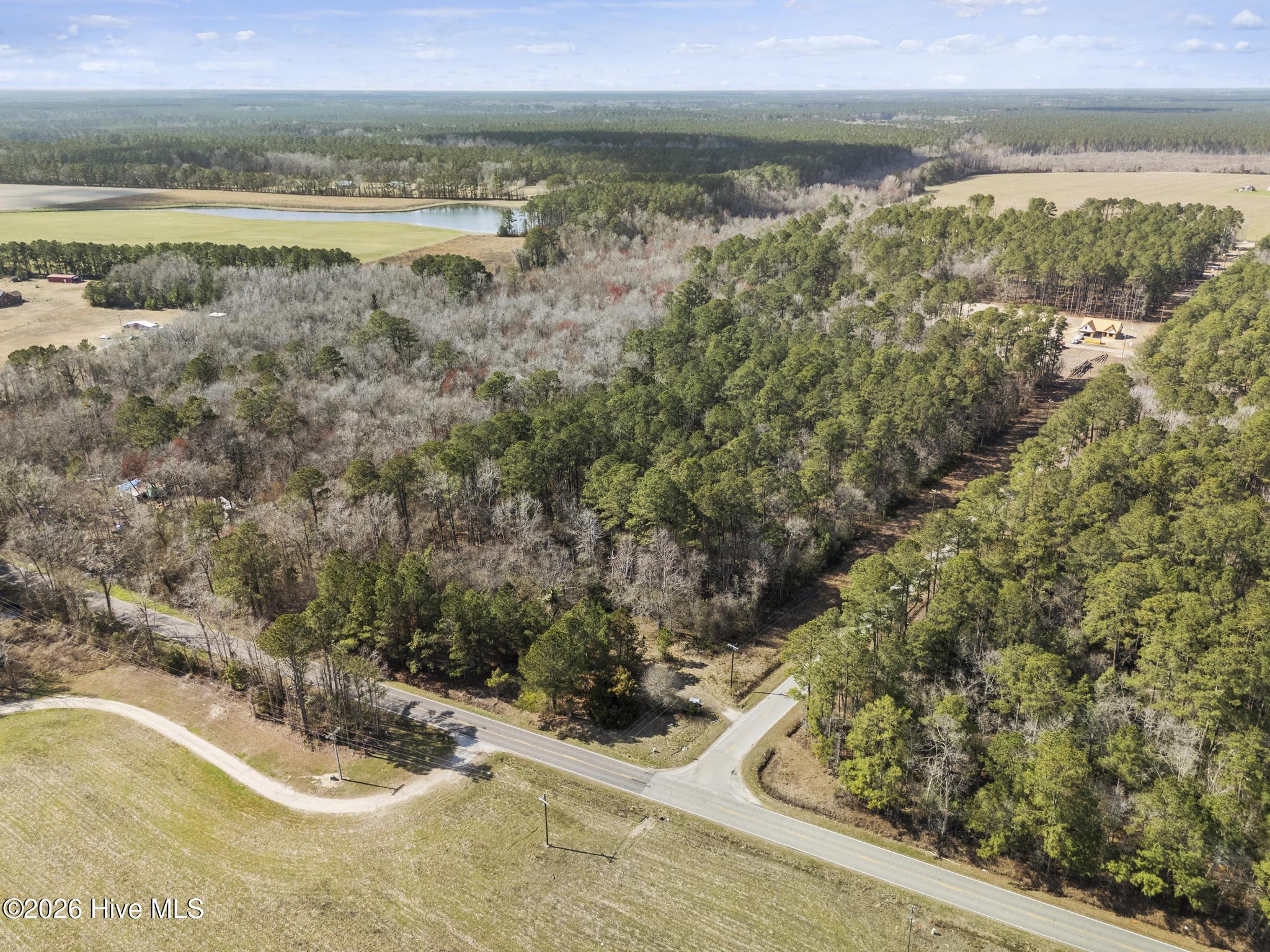 Lot 1 Page Road Burgaw, NC 28425 - Photo 11 of 18 DJI_20260306141739_0307_D