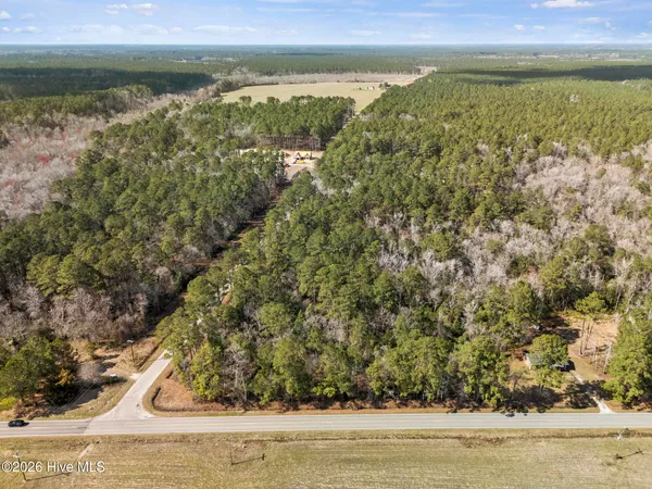 $89,000 | Lot 1 Page Road, Burgaw, NC 28425