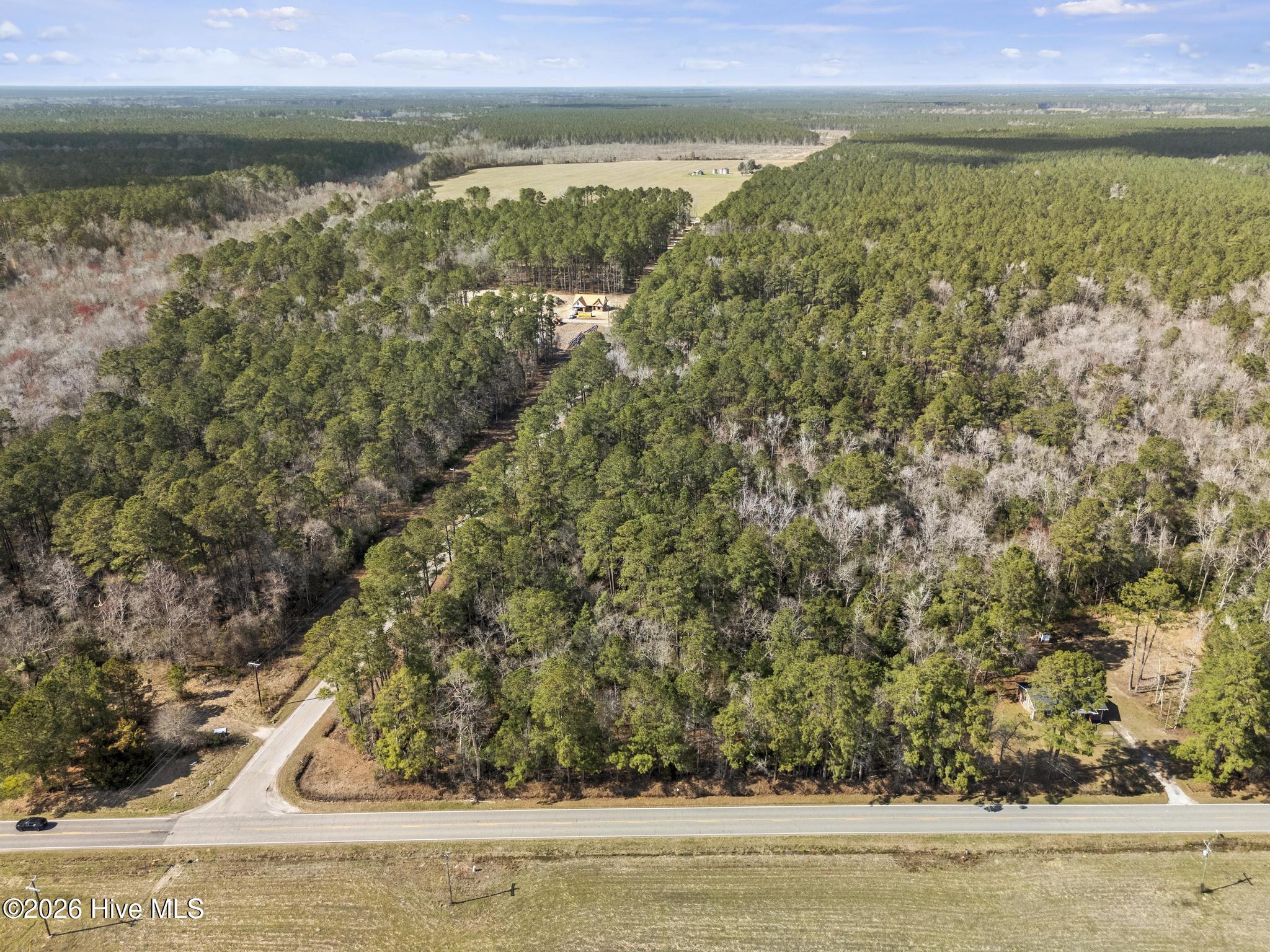Lot 1 Page Road Burgaw, NC 28425 - Photo 12 of 18 DJI_20260306141729_0302_D