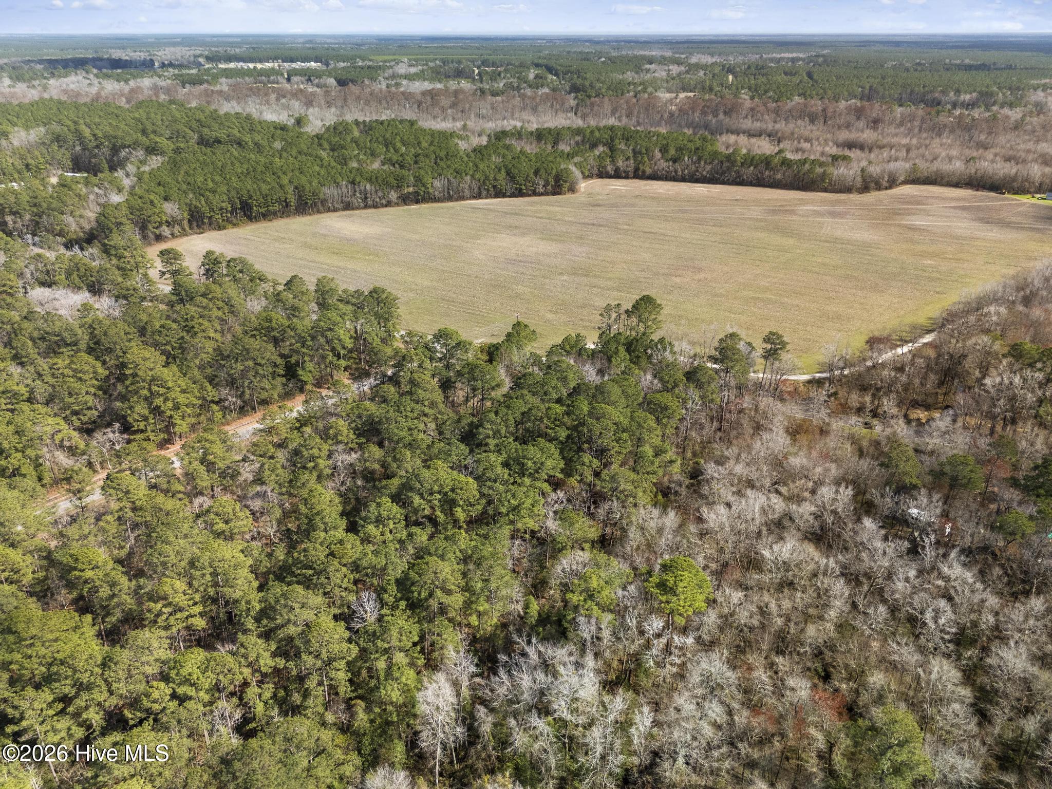 Lot 1 Page Road Burgaw, NC 28425 - Photo 15 of 18 DJI_20260306141541_0277_D