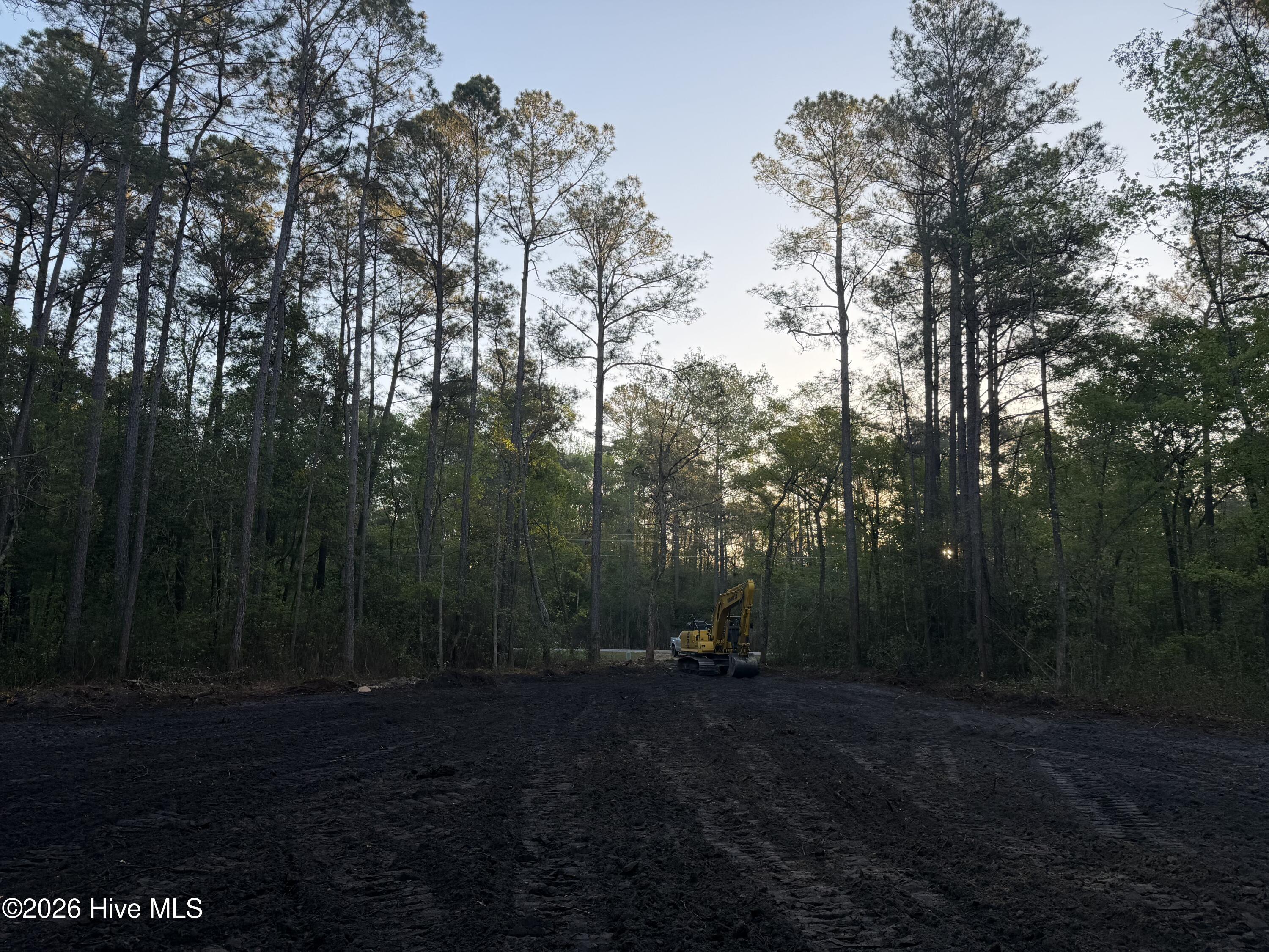 Lot 1 Page Road Burgaw, NC 28425 - Photo 16 of 18 IMG_1734