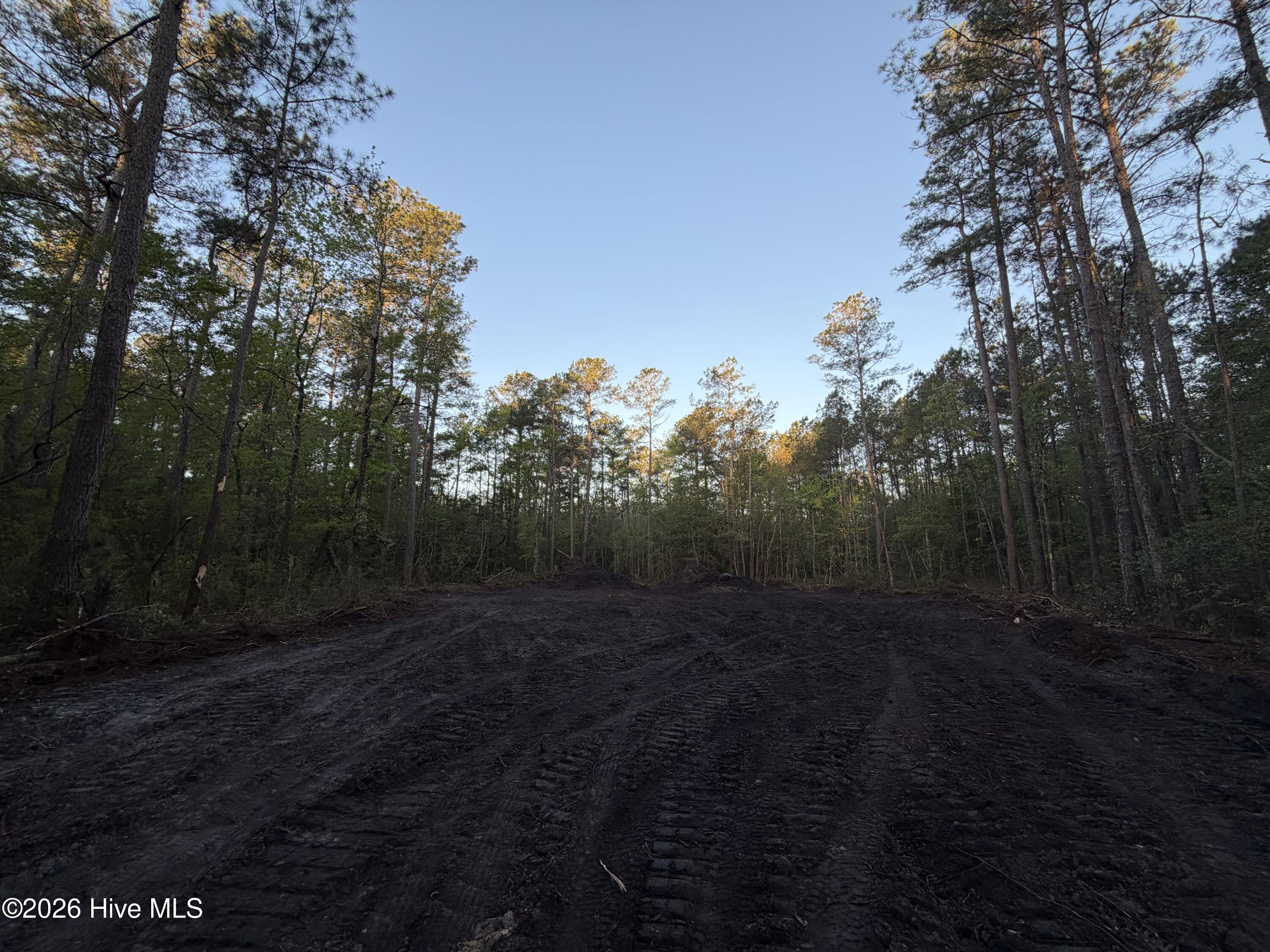 Lot 1 Page Road Burgaw, NC 28425 - Photo 17 of 18 IMG_1731