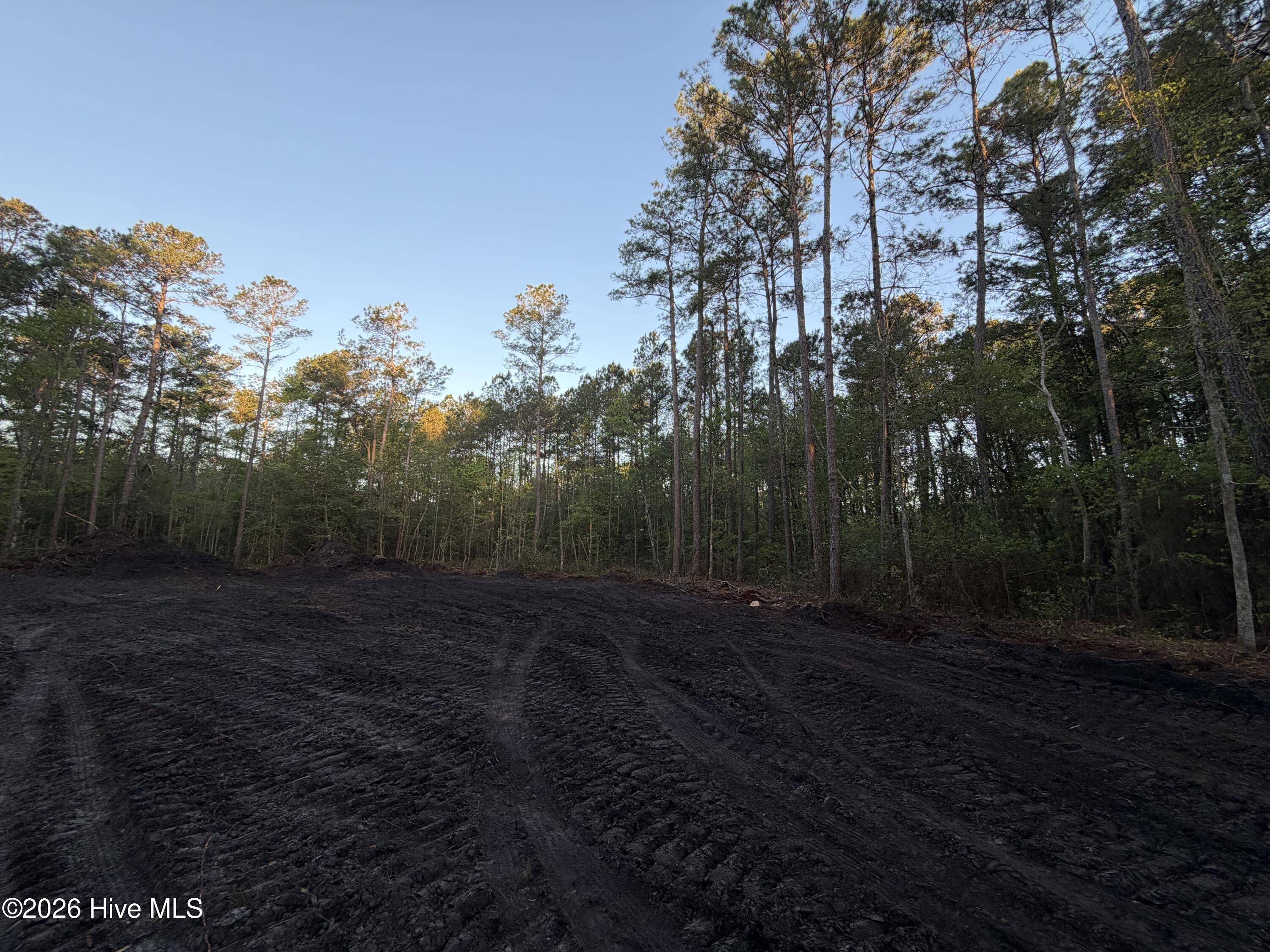 Lot 1 Page Road Burgaw, NC 28425 - Photo 18 of 18 IMG_1732