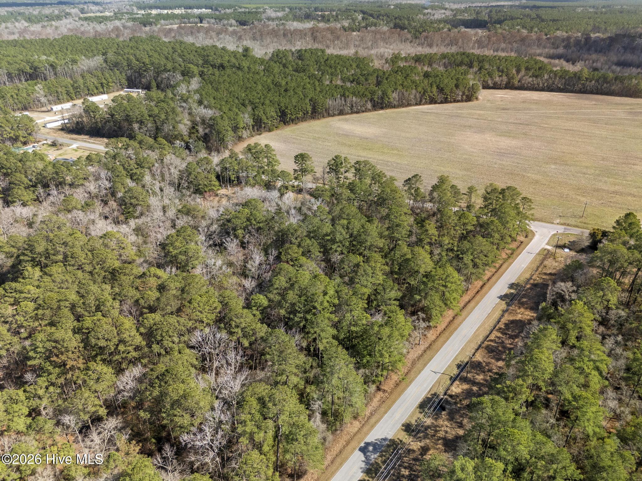 Lot 1 Page Road Burgaw, NC 28425 - Photo 7 of 18 DJI_20260306141954_0327_D