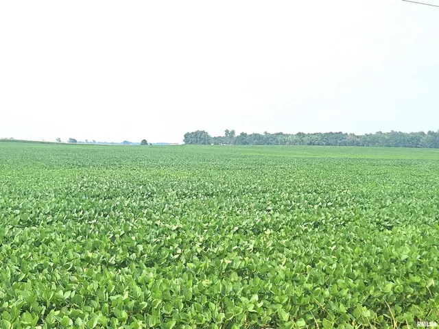 a view of a tennis court