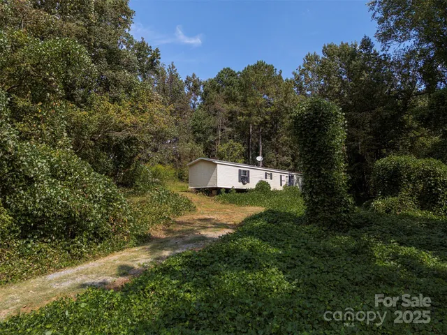 a view of a back yard