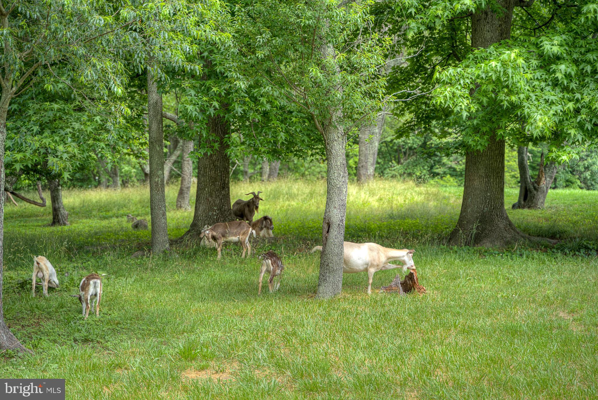 108 Timberlane Road Clarksboro, NJ 08020 - Photo 14 of 61 Gallery Image 14