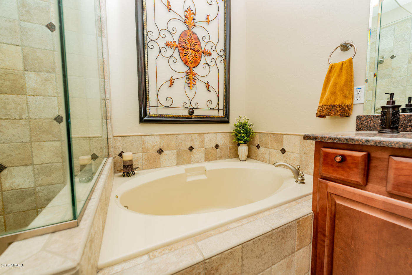 3935 East Rough Rider Road, Unit 1091 Phoenix, AZ 85050 - Photo 30 of 48 3935 E Rough Rider Rd Unit 1091-38