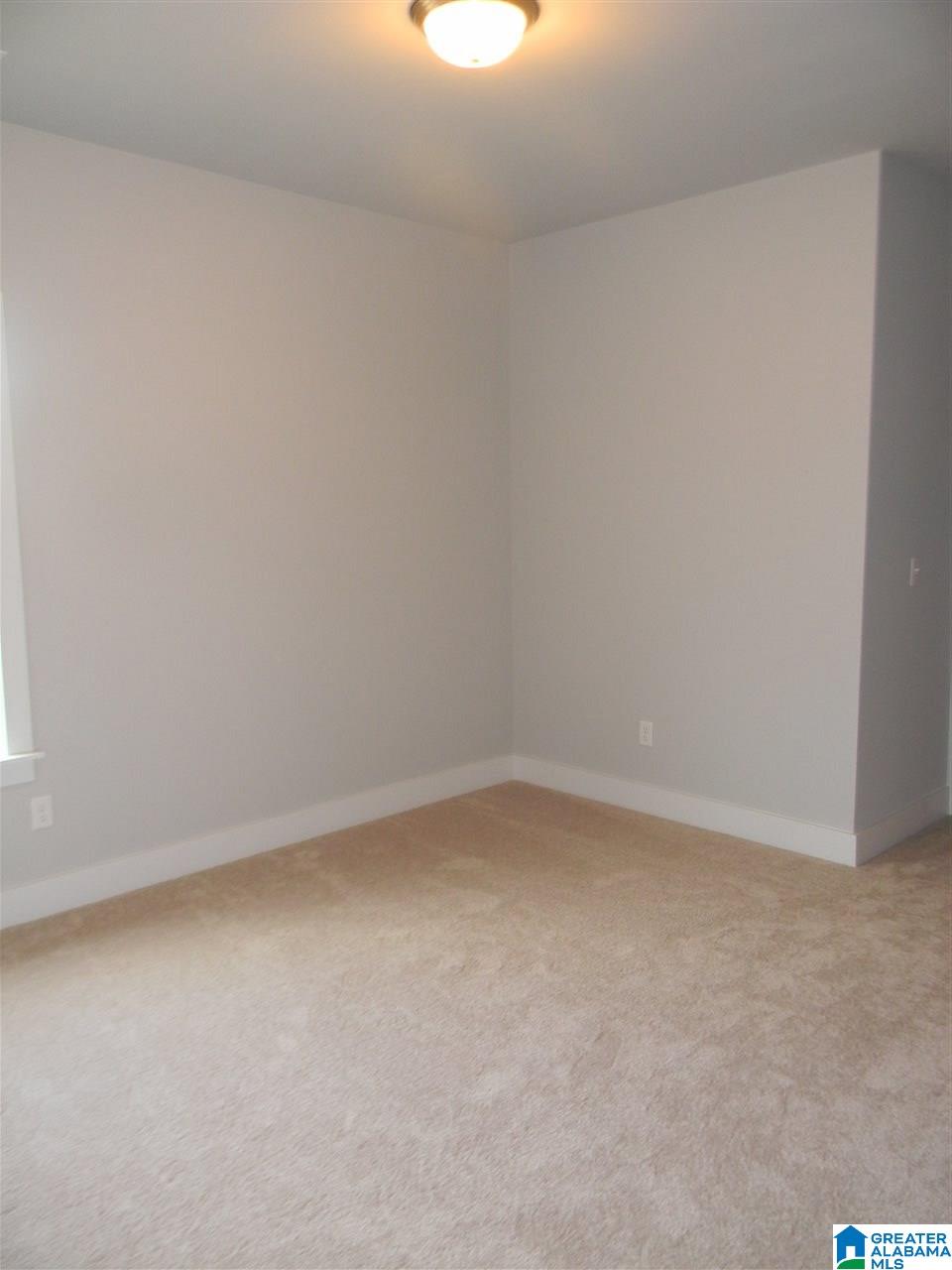 460 Hamilton Place Chelsea, AL 35043 - Photo 17 of 18