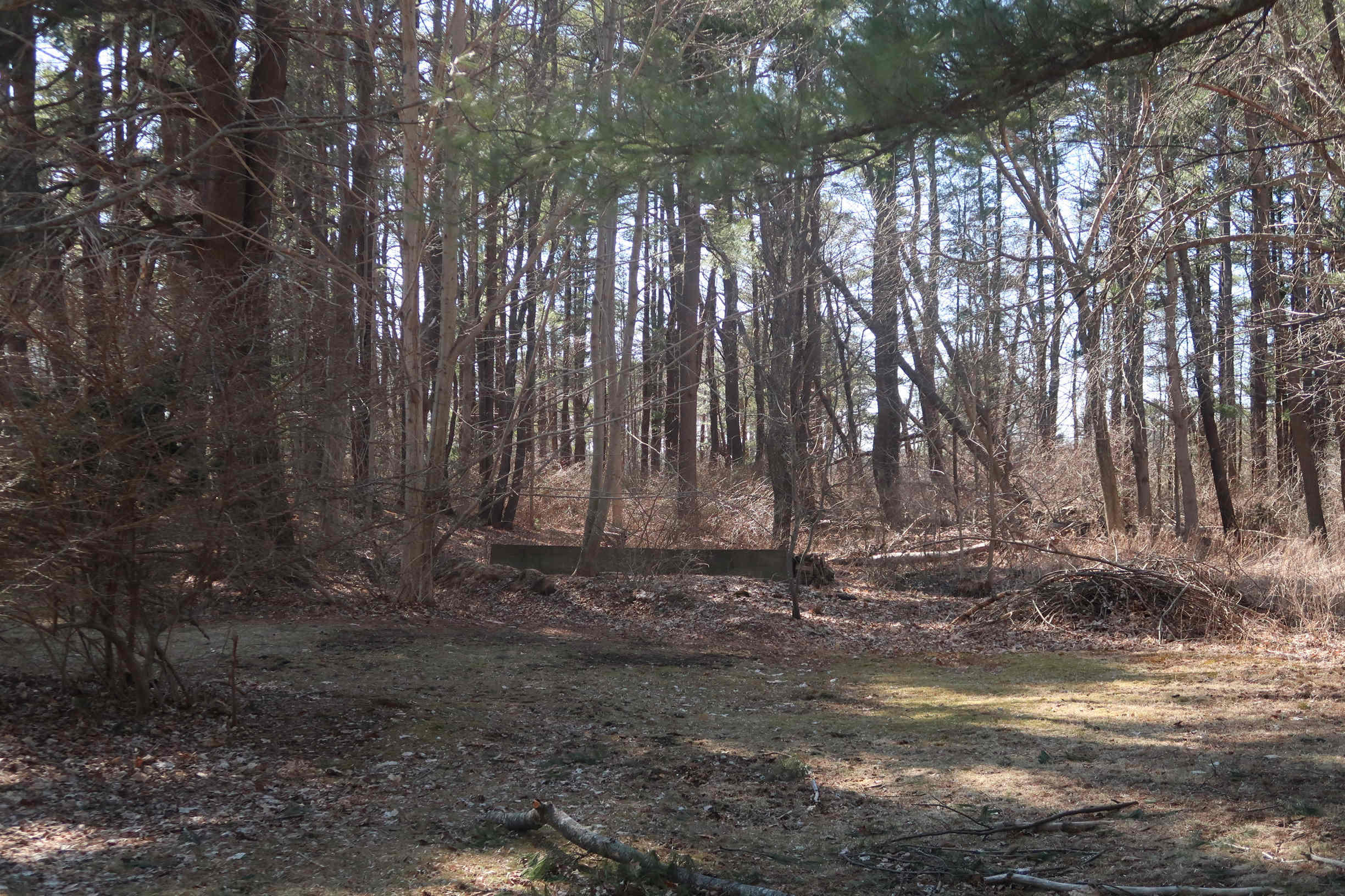 49 Organug Road York, ME 03909 - Photo 2 of 5 02Land