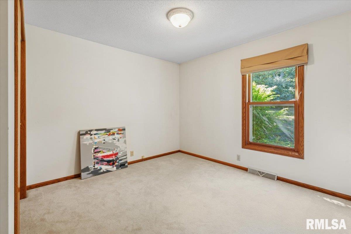 1650 468th Avenue Clinton, IA 52732 - Photo 48 of 59