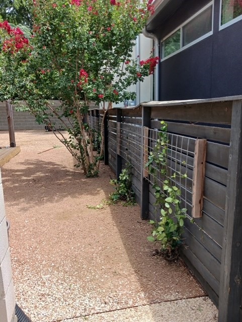 5920 Lux Street Austin, TX 78721 - Photo 3 of 5