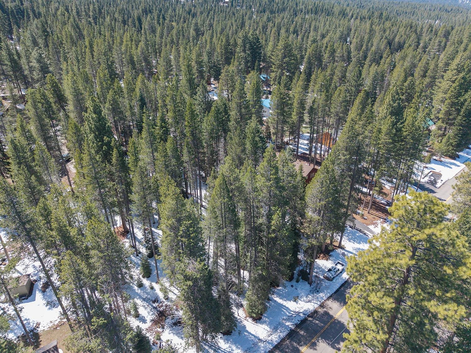 10489 East Alder Creek Road Truckee, CA 96161 - Photo 2 of 7