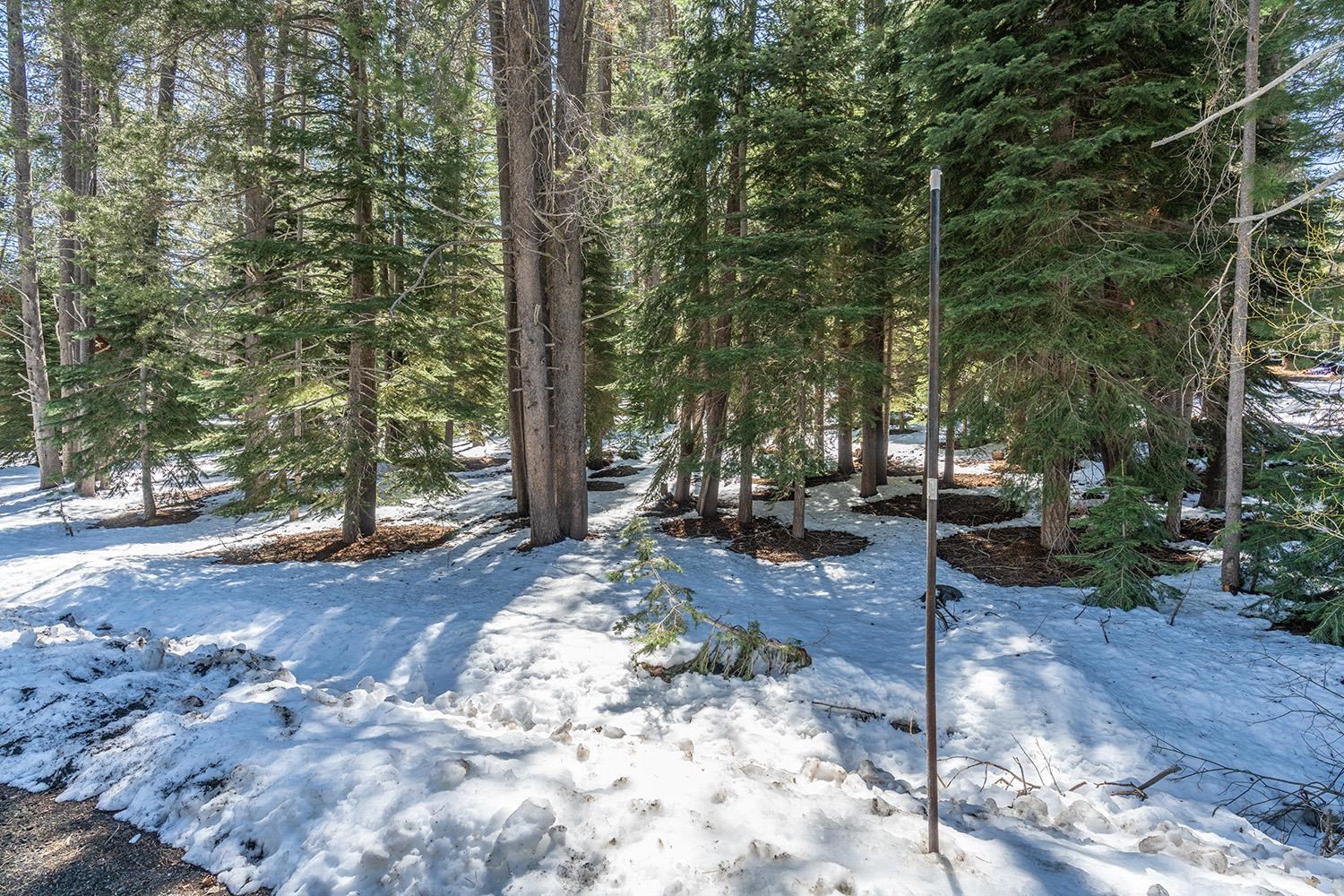 10489 East Alder Creek Road Truckee, CA 96161 - Photo 6 of 7