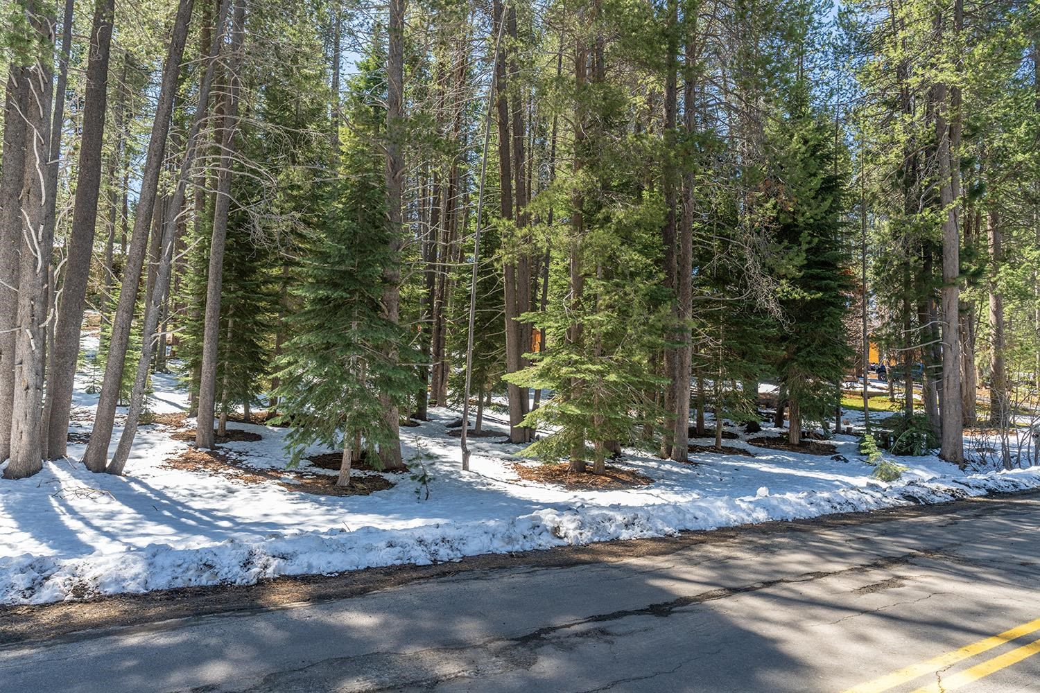 10489 East Alder Creek Road Truckee, CA 96161 - Photo 7 of 7