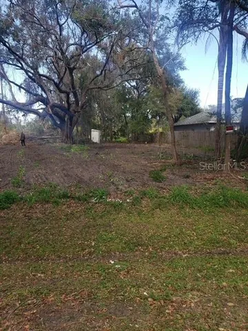 a view of a yard with a tree