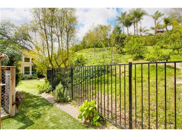 2772 Lone Jack Road Encinitas, CA 92024 - Photo 16 of 16 Upper area of Lot with Fruit Trees