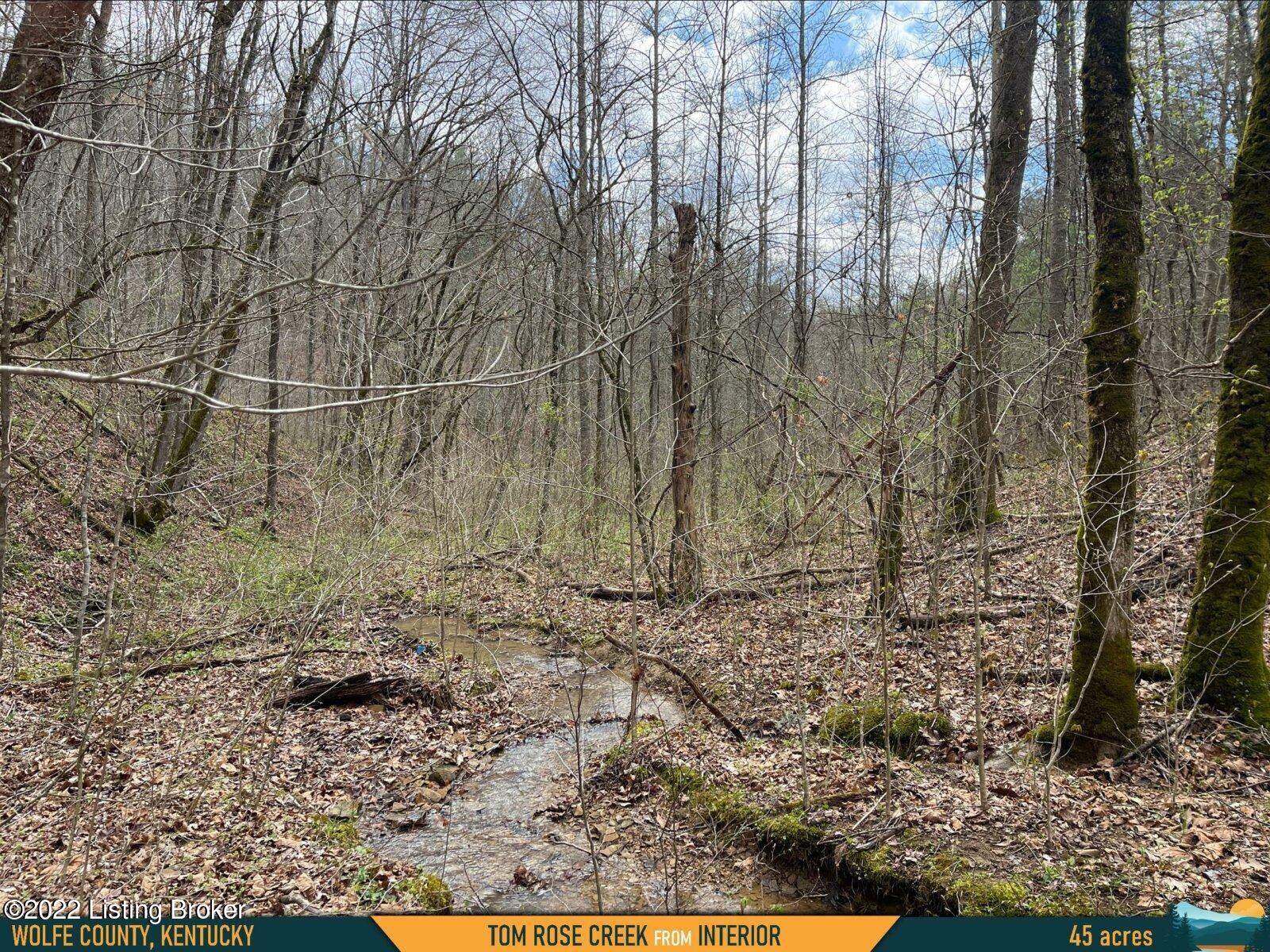 0 Tom Rose Br Road Campton, KY 41301 - Photo 12 of 36 12