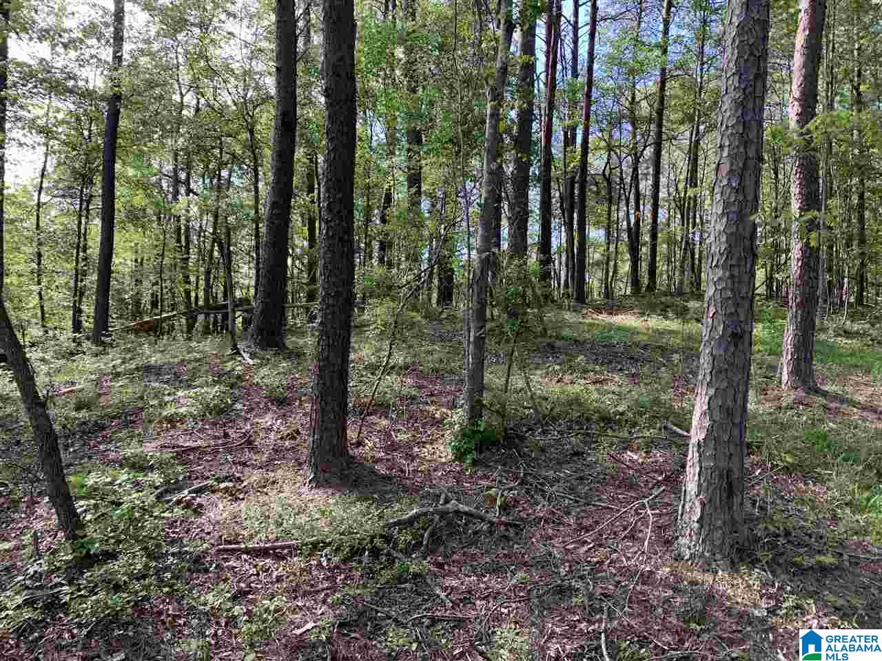1585 Rex Lake Road, Unit 1585 Leeds, AL 35094 - Photo 5 of 16