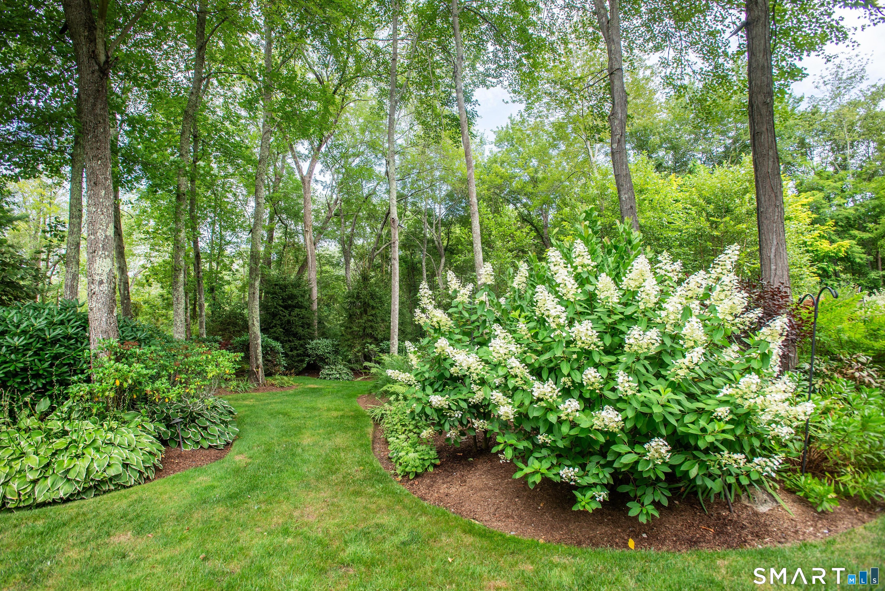 15 Twopence Road Ridgefield, CT 06877 - Photo 33 of 42 a lush green forest with lots of trees
