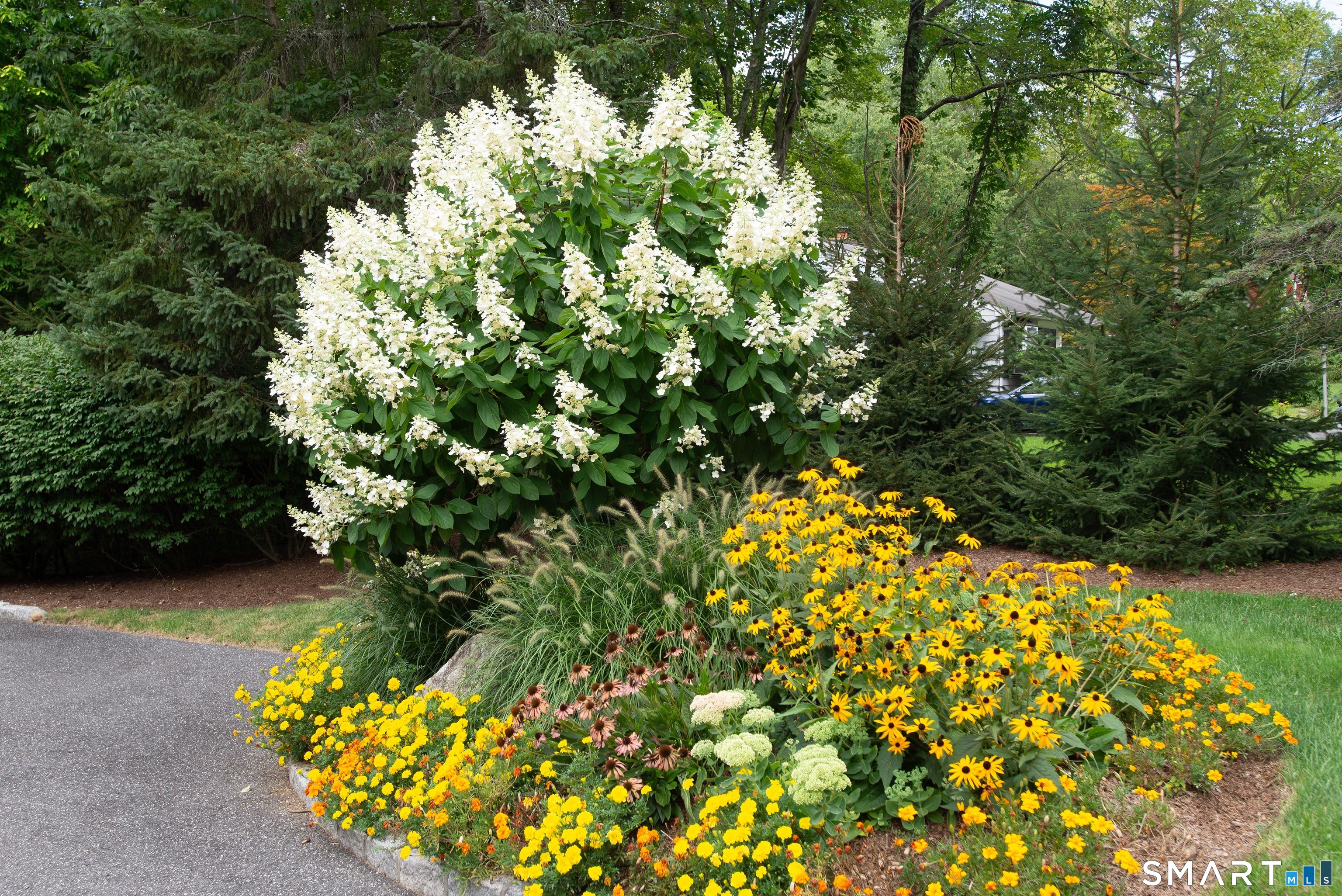 15 Twopence Road Ridgefield, CT 06877 - Photo 34 of 42 a view of a bunch of flowers