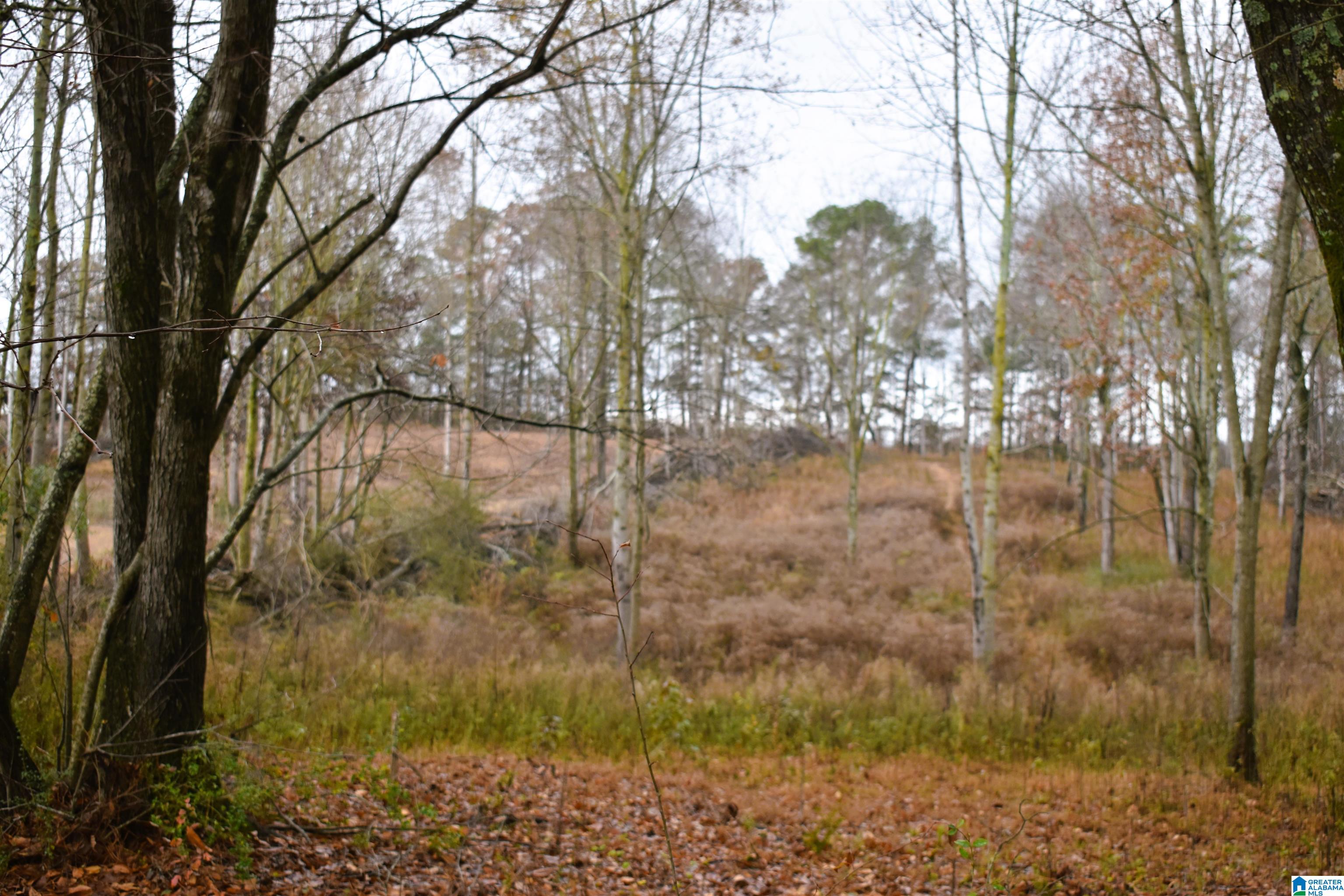 701 Cemetary Road Holly Pond, AL 35083 - Photo 25 of 31