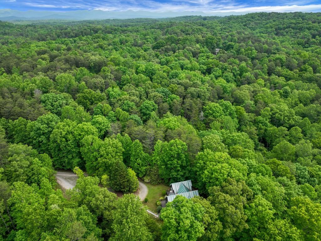 101 Yellow Bluff Road Dahlonega, GA 30533 - Photo 20 of 20 a view of a lush green forest