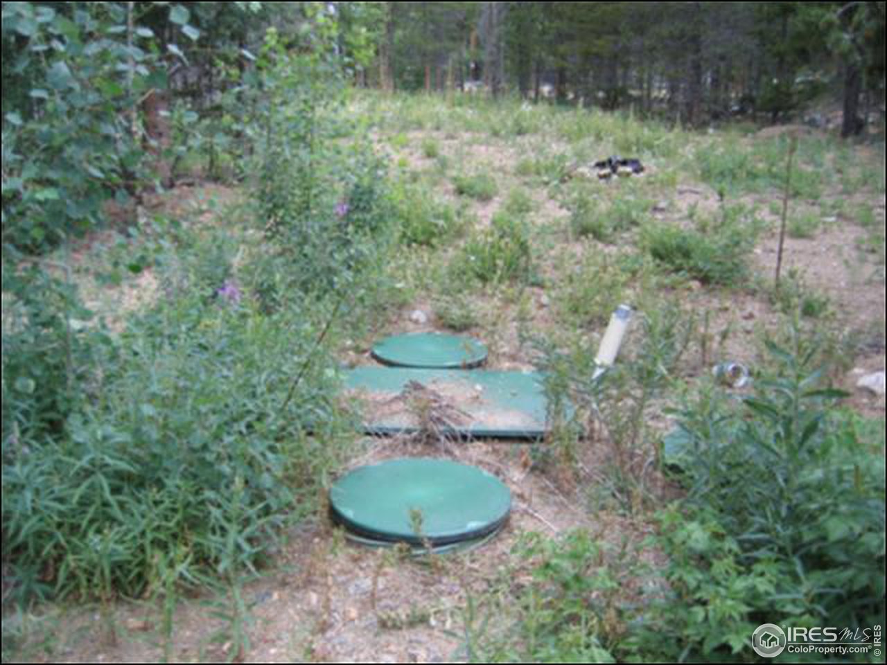 80 Venus Road Black Hawk, CO 80422 - Photo 7 of 8 Gallery Image 7