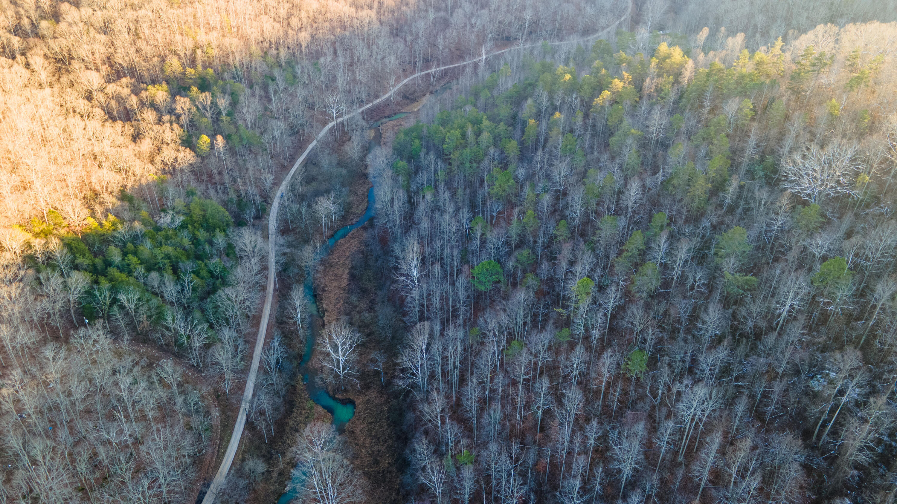 0 Crooked Crk Road Orlando, KY 40460 - Photo 15 of 20 CrookedCreekRd-08