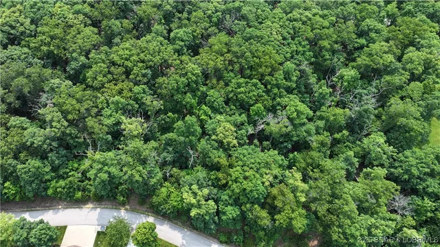 $25,000 | Lot 1045 Southshore Place, Sunrise Beach, MO 65079