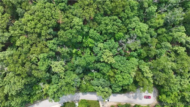 $25,000 | Lot 1045 Southshore Place, Sunrise Beach, MO 65079