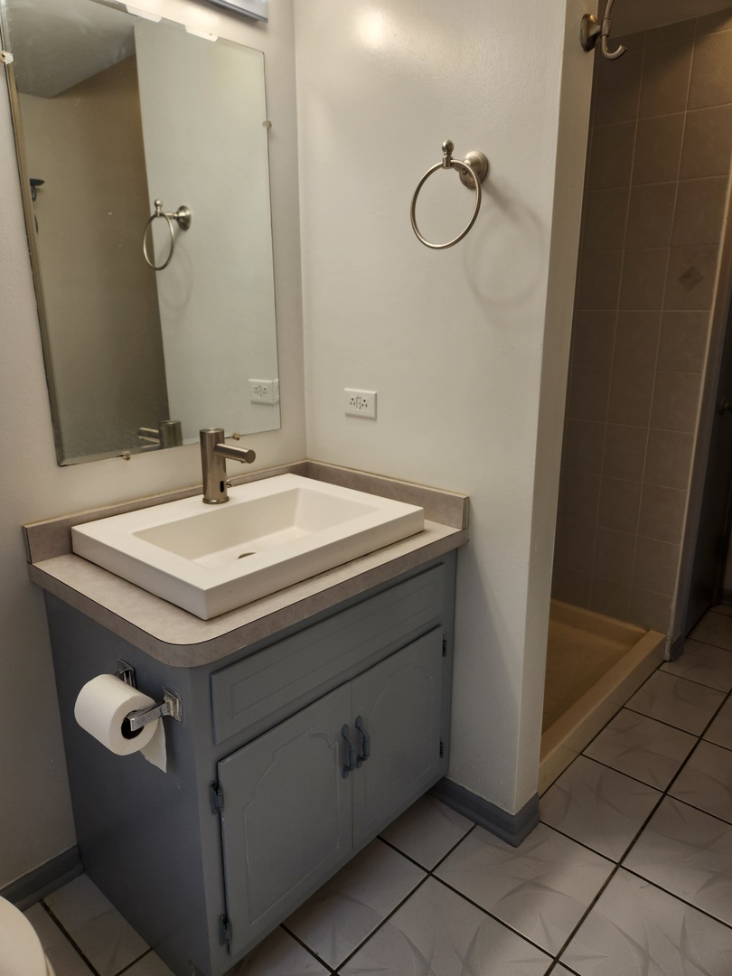 11723 South Ave J Chicago, IL 60617 - Photo 25 of 32 a bathroom with a sink and a mirror