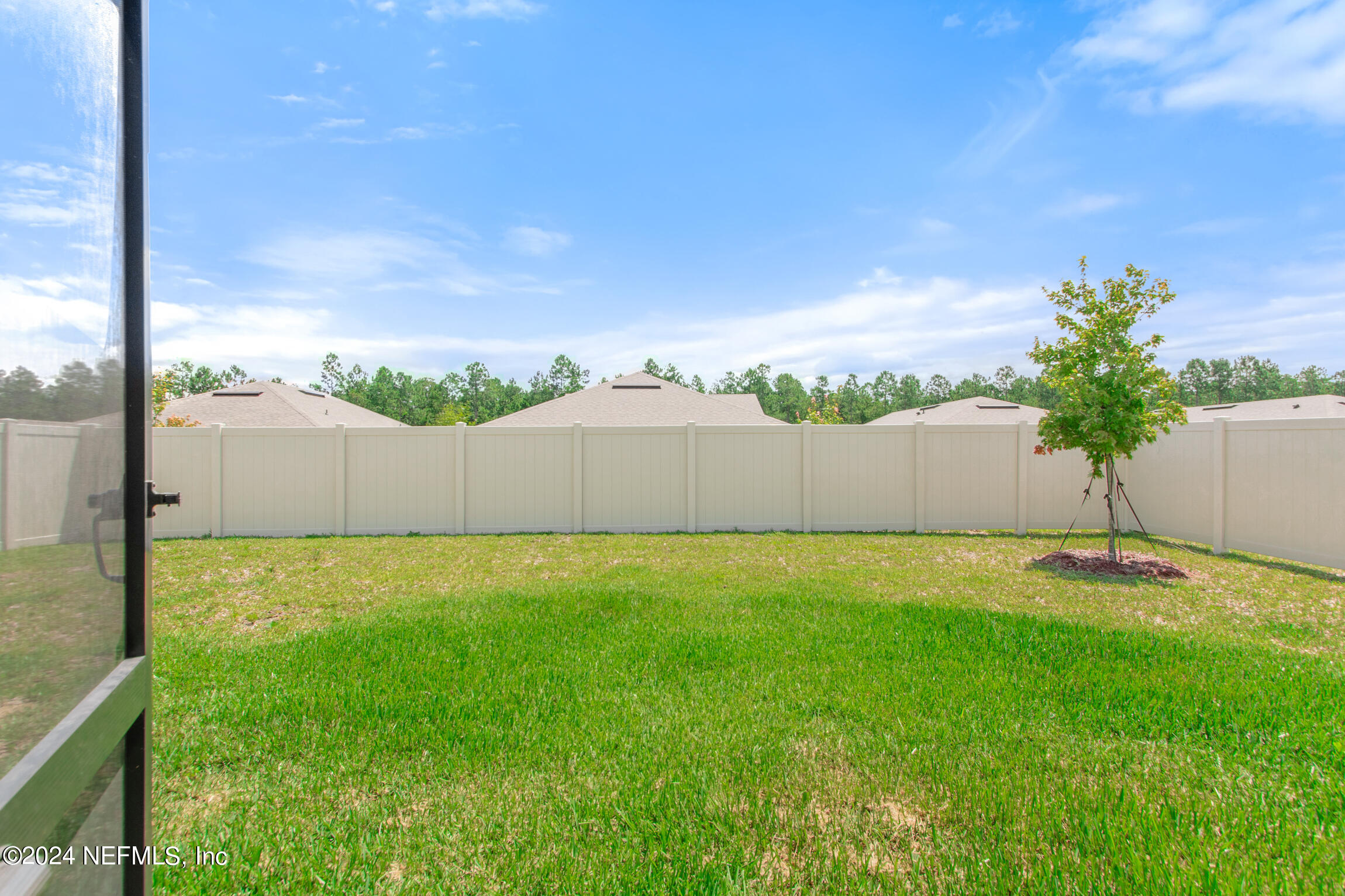 254 Ebro Road St. Augustine, FL 32084 - Photo 36 of 49 a view of a backyard