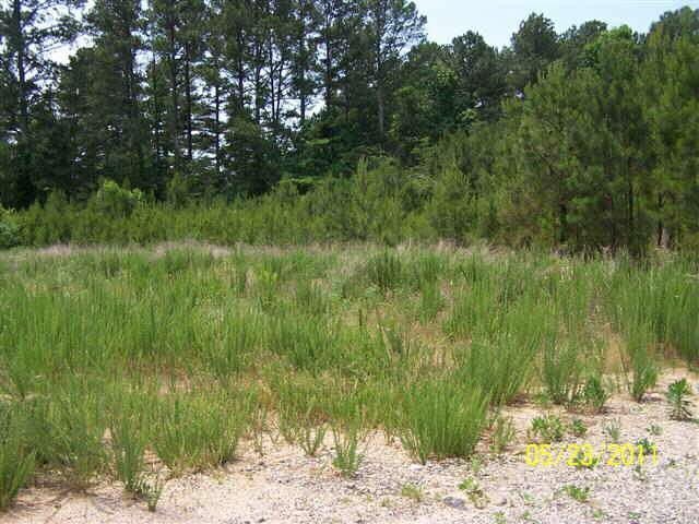 2959 Fairburn Road Douglasville, GA 30135 - Photo 1 of 1 Gallery Image 1