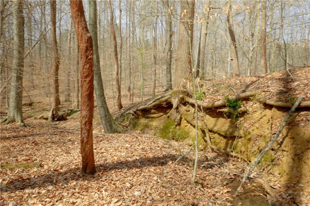 1019-11 George Road Westfield, NC 27053 - Photo 9 of 20