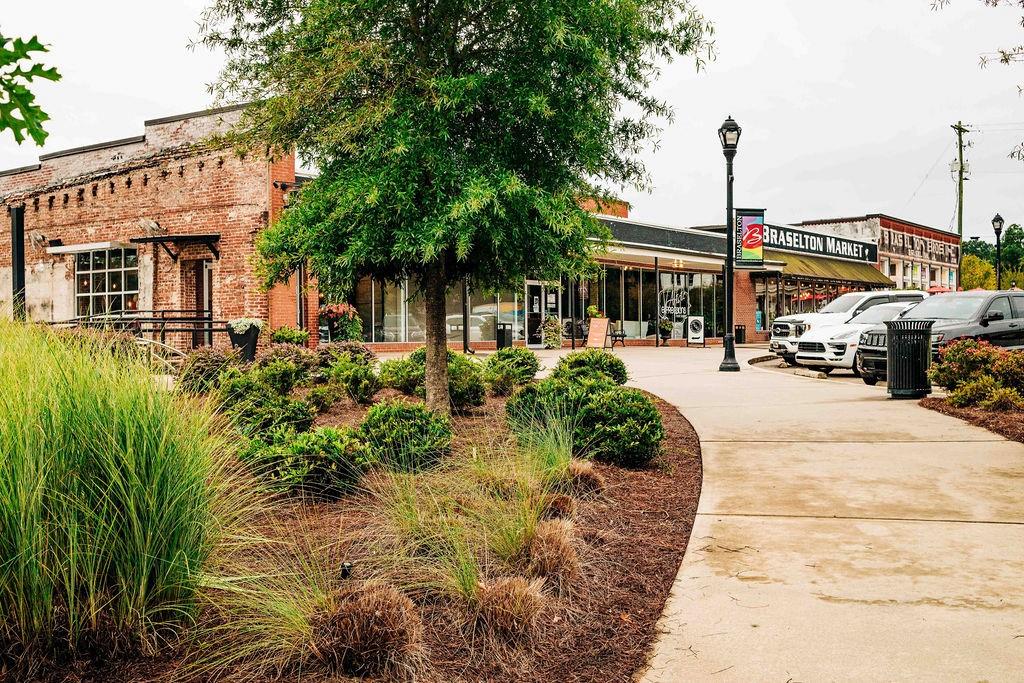 368 Scarlet Rose Way Hoschton, GA 30548 - Photo 107 of 150 a view of a house with a yard and potted plants