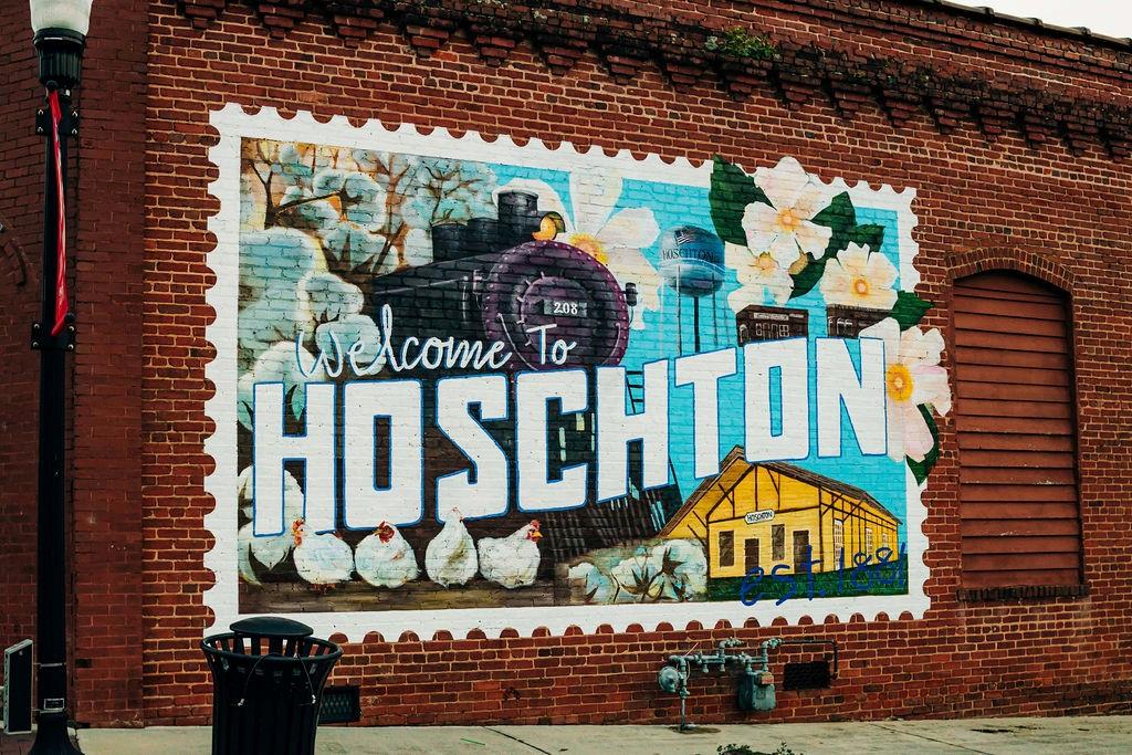 368 Scarlet Rose Way Hoschton, GA 30548 - Photo 132 of 150