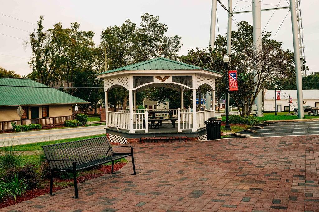 368 Scarlet Rose Way Hoschton, GA 30548 - Photo 134 of 150 a front view of a house with garden