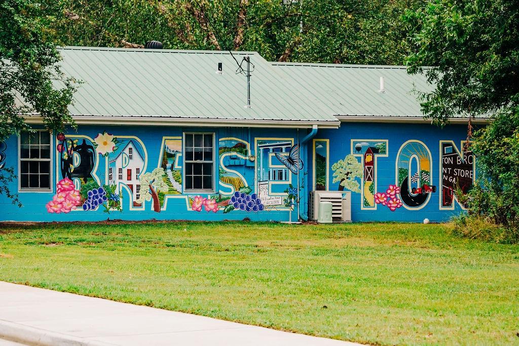 368 Scarlet Rose Way Hoschton, GA 30548 - Photo 92 of 150