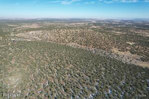 Pinon Pinon Valley Ranch, Unit 45 Concho, AZ 85924 - Photo 12 of 40 20230125192214506553000000