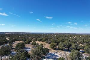 Pinon Pinon Valley Ranch, Unit 45 Concho, AZ 85924 - Photo 18 of 40 20230125192445578482000000