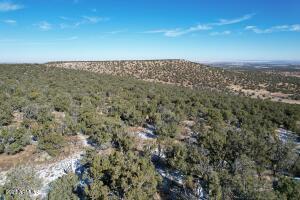 Pinon Pinon Valley Ranch, Unit 45 Concho, AZ 85924 - Photo 2 of 40 20230125192418725224000000