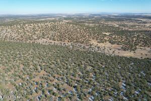Pinon Pinon Valley Ranch, Unit 45 Concho, AZ 85924 - Photo 3 of 40 20230125192823611744000000