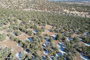 Pinon Pinon Valley Ranch, Unit 45 Concho, AZ 85924 - Photo 31 of 40 20230125192853419374000000