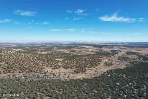 Pinon Pinon Valley Ranch, Unit 45 Concho, AZ 85924 - Photo 33 of 40 20230125192832993310000000