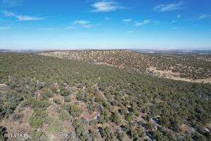 Pinon Pinon Valley Ranch, Unit 45 Concho, AZ 85924 - Photo 34 of 40 20230125192813616447000000